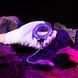 Ерекційне віброкільце з віброяйцем Hueman - Eclipse Anal Vibrator SX3893 фото 8