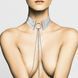 Намисто-комір Bijoux Indiscrets Desir Metallique Collar - Silver SO5919 фото 2