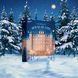 Подарунковий набір Satisfyer Deluxe Advent Calendar 2025 SX2854 фото 6