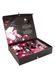 Подарочный набор Shunga NAUGHTY Cosmetic Kit: смазка и стимулирующие средства для него и для нее SO6896 фото 2