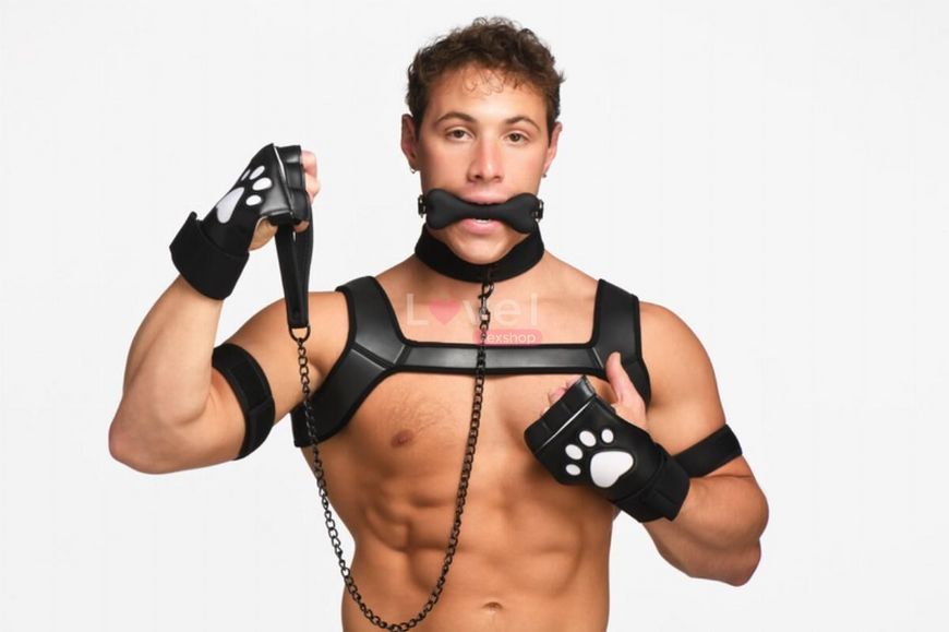 Набор BDSM щенка Master Series Luxury Pup Arsenal Set - Black SX1194 фото