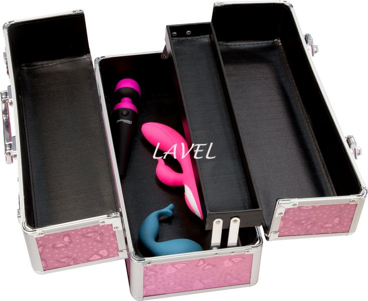 Великий кейс для зберігання секс-іграшок BMS Factory Large Lokable Vibrator Case Pink, кодовий замок SO8900 фото