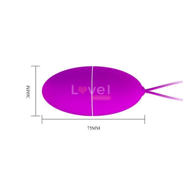 Виброяйцо Pretty Love Joanne Vibrating Egg Purple 6603BI0585 фото