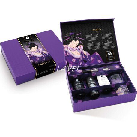 Подарочный набор Shunga Naughtier Kit SX0587 фото