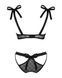 (SALE) Полупрозрачный эротический комплект Obsessive Obsessivia 2pcs set black L/XL, бюстгальтер и трусики, SO7298 фото 6