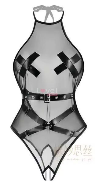 Боди Raven Noir Harness Teddy, полупрозрачное с открытым доступом и ремешками, черное TNS1099 фото