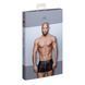 Мужские шорты Noir Handmade H006 Men shorts, XL, с мокрым эффектом SX0004 фото 5